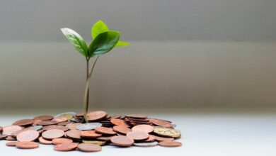 green plant on brown round coins