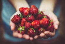 shallow focus photography of strawberries on person's palm