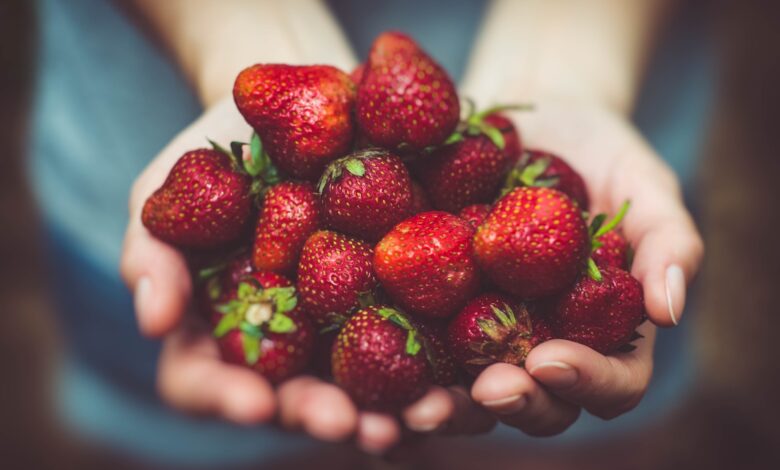 shallow focus photography of strawberries on person's palm