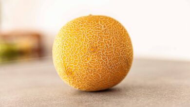 cantaloupe fruit