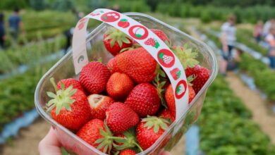 strawberries in clear glass bowl