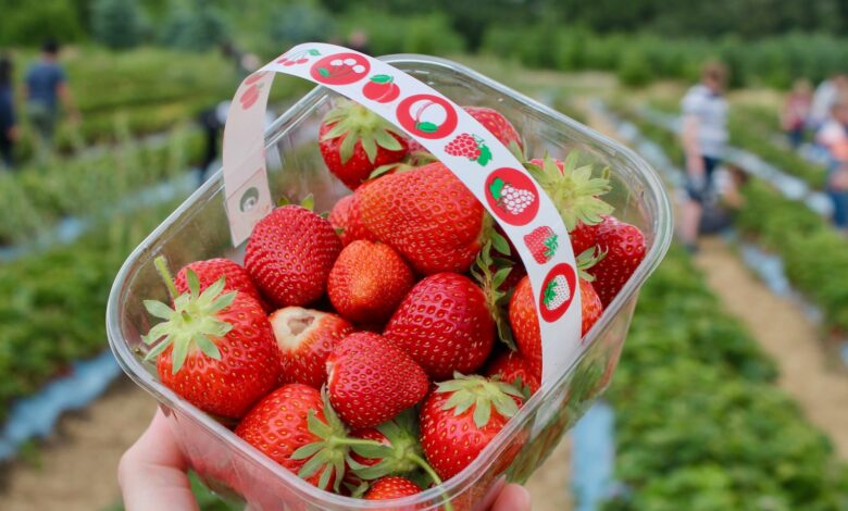 strawberries in clear glass bowl