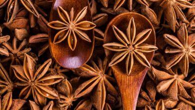 Directly Above Shot of Dried Decoration