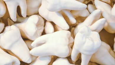 white flower petals on white textile