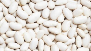 white beans on white background