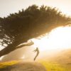 silhouette of person jumping under tree